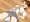 電マ自縛オナニーで抜けられなくなった女の子