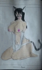 ネコ晴美