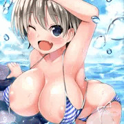 宇崎花