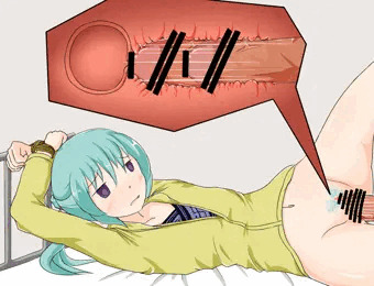 新入りが来たので